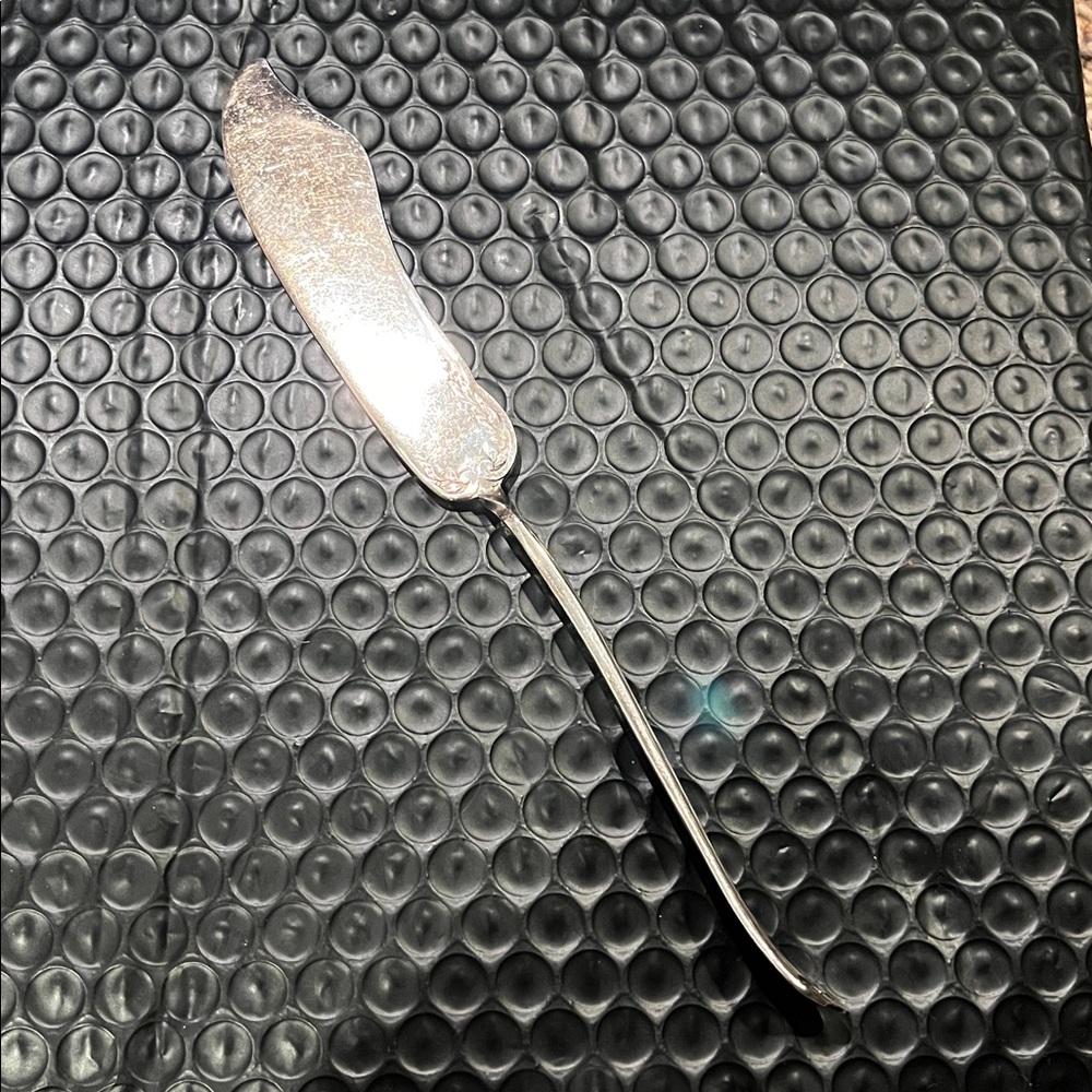 William Wm. Rogers & Son AA 1915 Hampden Silver plated handled butter knife VGUC